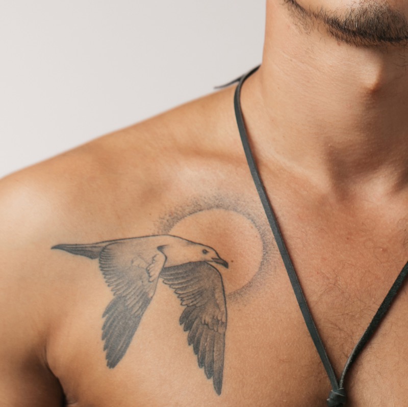 Realism chest tattoo bird