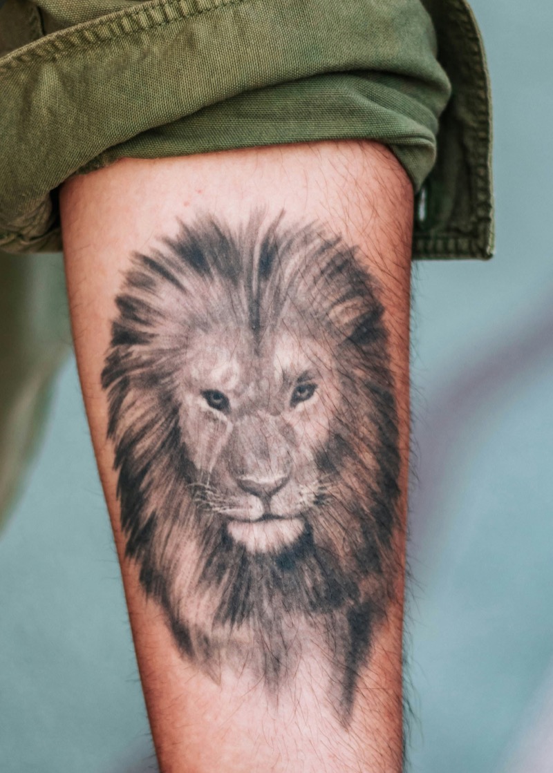 Realism forearm tattoo lion