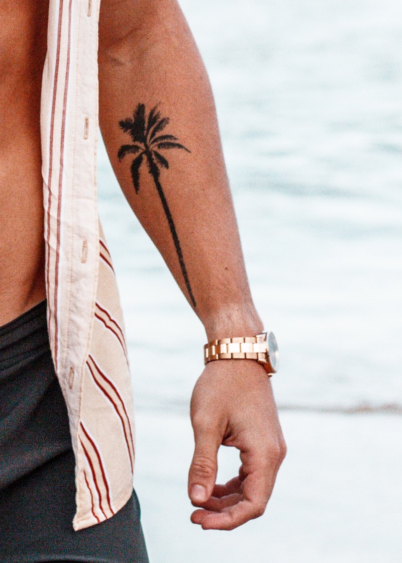Small forearm tattoo palm tree